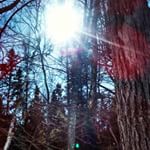 It's the perfect day to go snow shoeing with your mom and dad. Also the perfect day to watch old home movies and eat pizza and brownies.