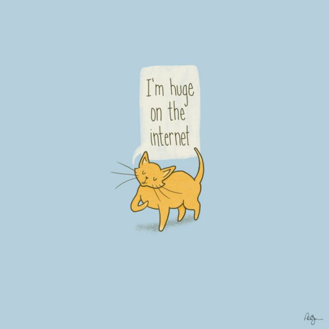 cats-on-the-internet